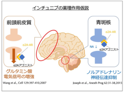 ひとりごと357-3.png